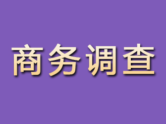 南安商务调查